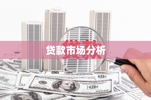 蓝山贷款市场分析