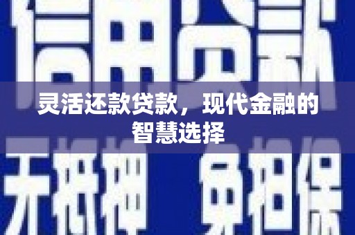 蓝山灵活还款贷款，现代金融的智慧选择
