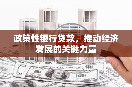 蓝山政策性银行贷款，推动经济发展的关键力量