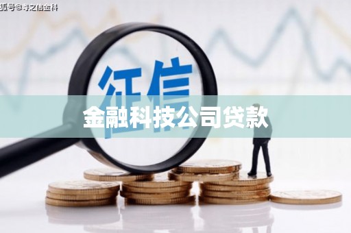 蓝山金融科技公司贷款