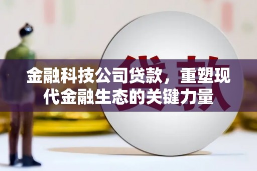 蓝山金融科技公司贷款，重塑现代金融生态的关键力量