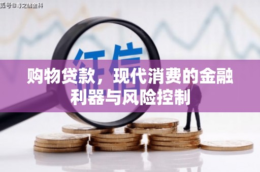 蓝山购物贷款，现代消费的金融利器与风险控制
