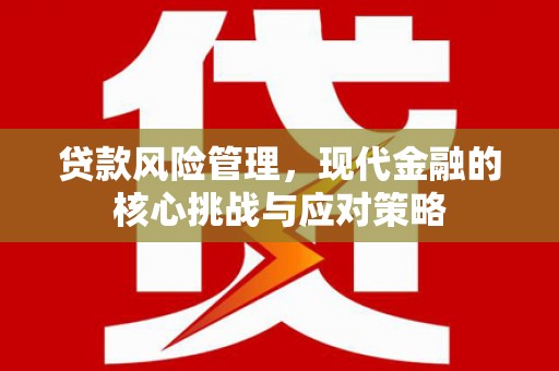 蓝山贷款风险管理，现代金融的核心挑战与应对策略