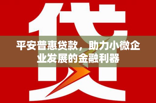 蓝山平安普惠贷款，助力小微企业发展的金融利器