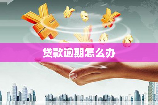 蓝山贷款逾期怎么办