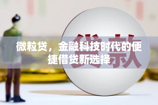 蓝山微粒贷，金融科技时代的便捷借贷新选择