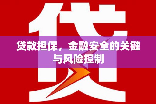 蓝山贷款担保，金融安全的关键与风险控制