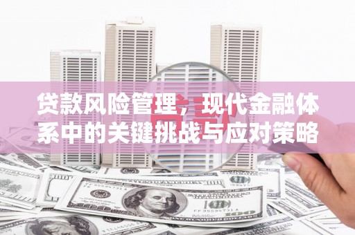 蓝山贷款风险管理，现代金融体系中的关键挑战与应对策略