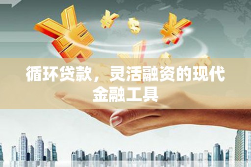 蓝山循环贷款，灵活融资的现代金融工具