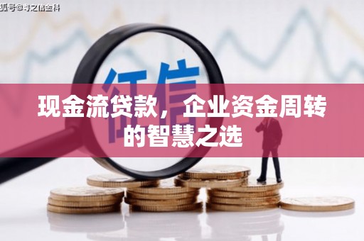 蓝山现金流贷款，企业资金周转的智慧之选