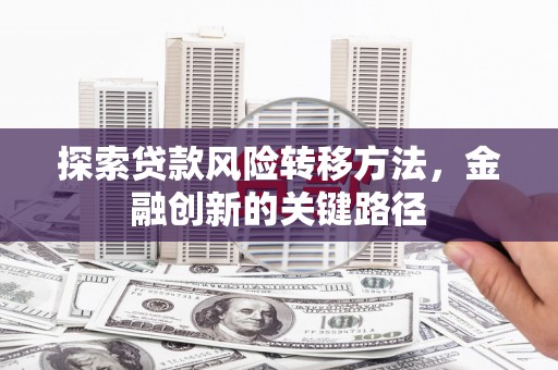 蓝山探索贷款风险转移方法，金融创新的关键路径