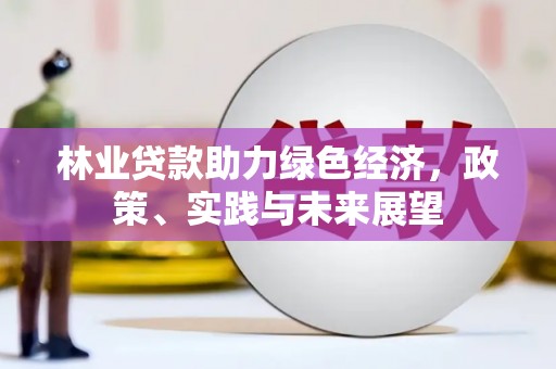 蓝山林业贷款助力绿色经济，政策、实践与未来展望