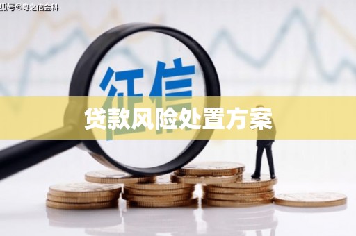 蓝山贷款风险处置方案