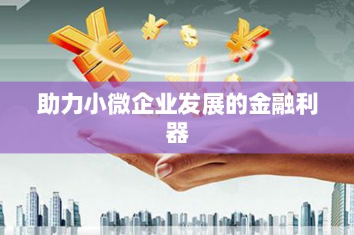 蓝山助力小微企业发展的金融利器