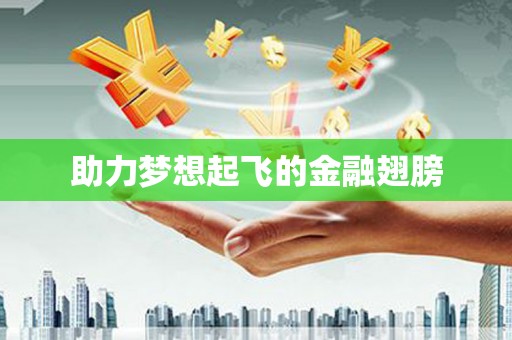 蓝山助力梦想起飞的金融翅膀