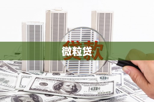 蓝山微粒贷