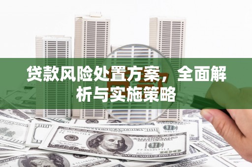蓝山贷款风险处置方案，全面解析与实施策略