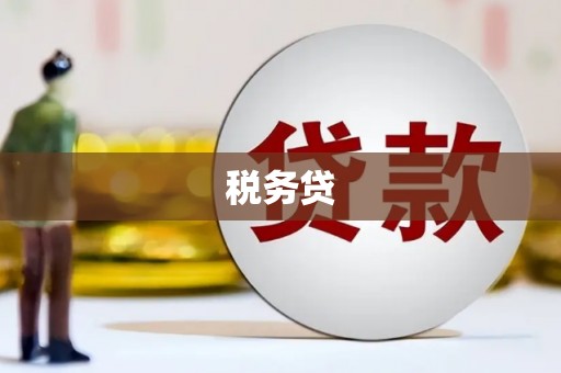 蓝山税务贷