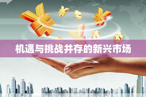 蓝山机遇与挑战并存的新兴市场