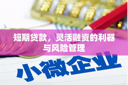 蓝山短期贷款，灵活融资的利器与风险管理