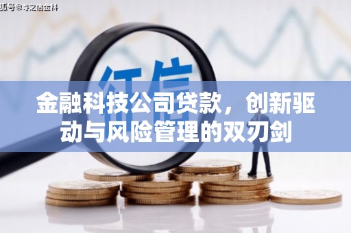蓝山金融科技公司贷款，创新驱动与风险管理的双刃剑