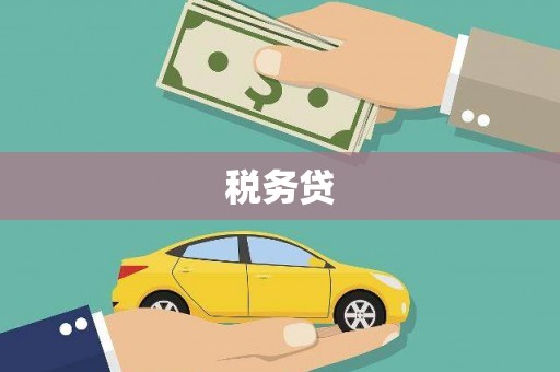 蓝山税务贷