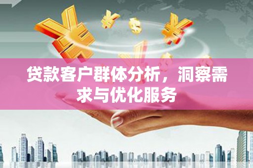 蓝山贷款客户群体分析，洞察需求与优化服务